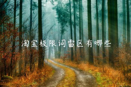 淘寶極限詞雷區(qū)有哪些